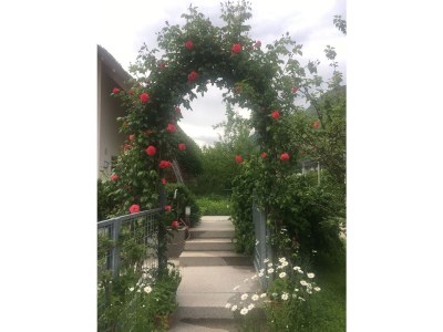 Holiday apartment Rot at the Sandwiesen-Hof - Outdoor photo 17