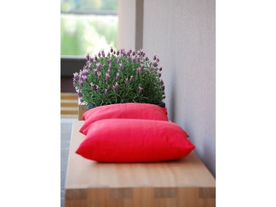 Holiday apartment Rot at the Sandwiesen-Hof - Features photo 27