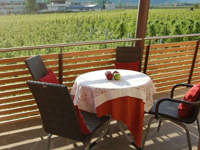 Holiday apartment Rot at the Sandwiesen-Hof - Features photo 28