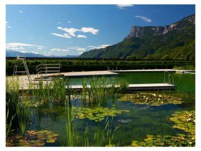 Holiday apartment Rot at the Sandwiesen-Hof - Environment photo 35