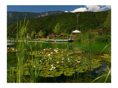 Holiday apartment Rot at the Sandwiesen-Hof - Environment photo 36