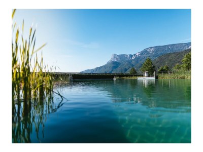 Holiday apartment Rot at the Sandwiesen-Hof - Environment photo 38