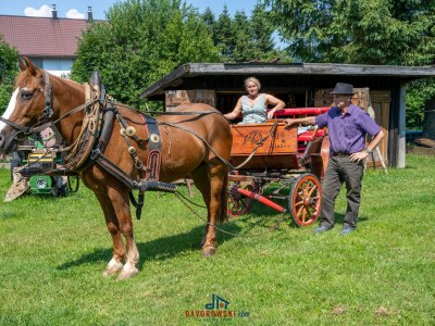 Holiday house Mountain Escape with Indoor Pool - Environment photo 33