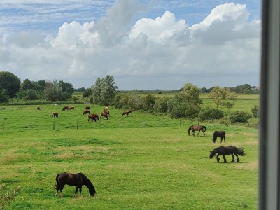 Holiday house Emma's Hus - Environment photo 40