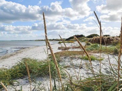 Holiday house 6 Personen Ferienhaus in Hadsund-By Traum - Outdoor photo 9