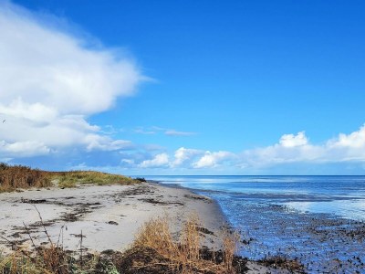 Holiday house 6 Personen Ferienhaus in Hadsund-By Traum - Outdoor photo 14