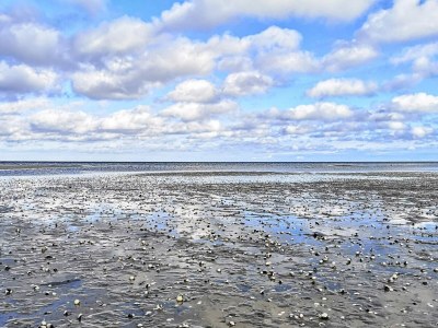 Holiday house 6 Personen Ferienhaus in Hadsund-By Traum - Outdoor photo 23