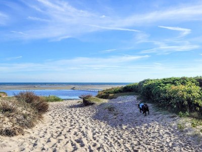 Holiday house 6 Personen Ferienhaus in Hadsund-By Traum - Outdoor photo 30