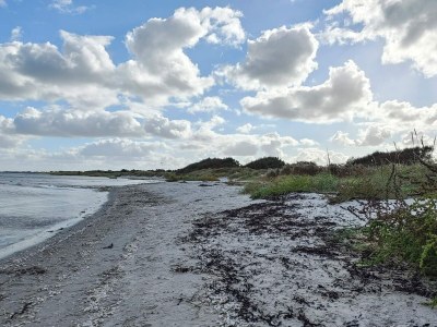 Holiday house 6 Personen Ferienhaus in Hadsund-By Traum - Outdoor photo 38