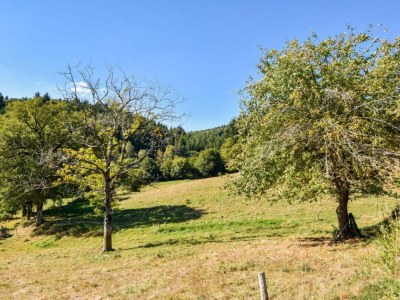 Holiday house Calvinet Landurlaub - Environment photo 24