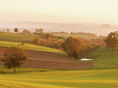 Holiday house Calvinet Landurlaub - Environment photo 32