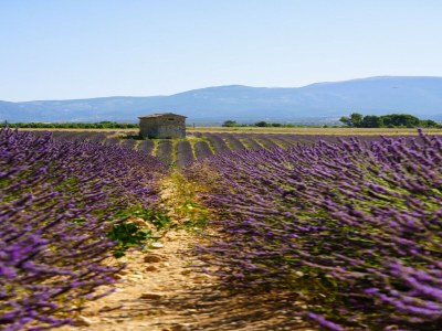 Villa Oppède Villa mit privatem Pool - Environment photo 39