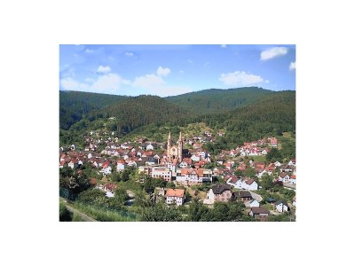 Holiday apartment A Sonnenhalde - Environment photo 24