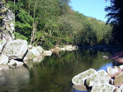 Holiday apartment A Sonnenhalde - Environment photo 39