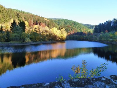 Holiday apartment A Sonnenhalde - Environment photo 40