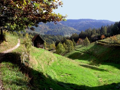 Holiday apartment A Sonnenhalde - Environment photo 43