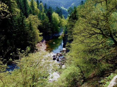 Holiday apartment A Sonnenhalde - Environment photo 47