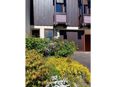 Holiday apartment D Sonnenhalde - Features photo 23