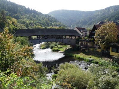 Holiday apartment D Sonnenhalde - Environment photo 29