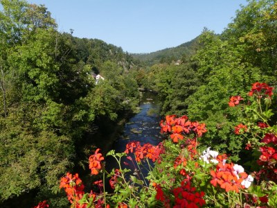 Holiday apartment D Sonnenhalde - Environment photo 36