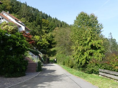 Holiday apartment D Sonnenhalde - Environment photo 38