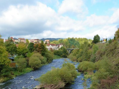 Holiday apartment D Sonnenhalde - Environment photo 39