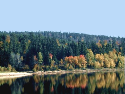 Holiday apartment D Sonnenhalde - Environment photo 41