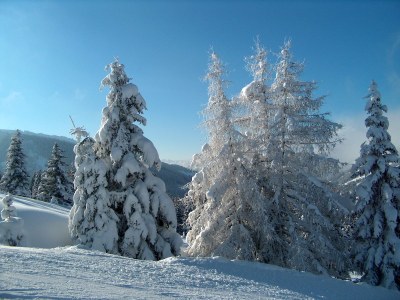 Holiday house Chalet Hohe Tauernblick - Environment photo 22