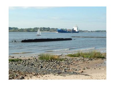 Apartment Suite - Environment photo 17