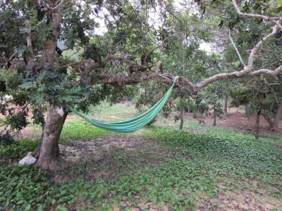 Holiday house Holiday Home in Ibiza near Cala Vadella Beach - Outdoor photo 12