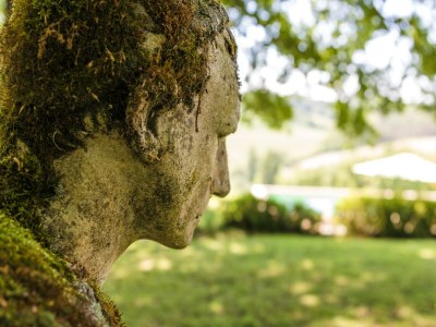 Holiday house Holiday Home in Dordogne with Pool - Outdoor photo 38