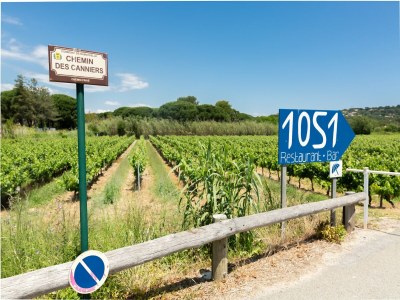 Holiday house House near Pampelonne beach with garden - Environment photo 20