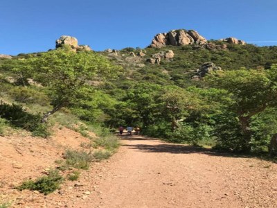 Holiday house Holiday Home in Fayence with Private Pool - Environment photo 29