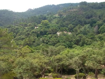 Holiday house Holiday Home in Fayence with Private Pool - Environment photo 33