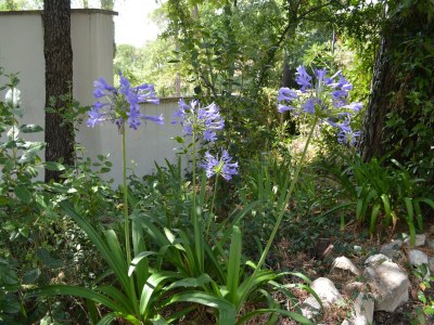 Holiday house Holiday Home in Fayence with Private Pool - Outdoor photo 39