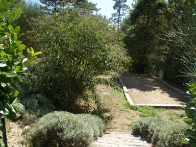 Apartment Apartment in Montauroux by Lake Cassien - Outdoor photo 37