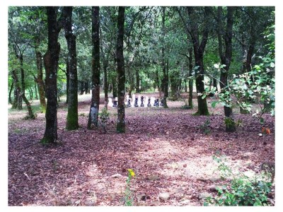 Holiday house Casa Bosco - Outdoor photo 6