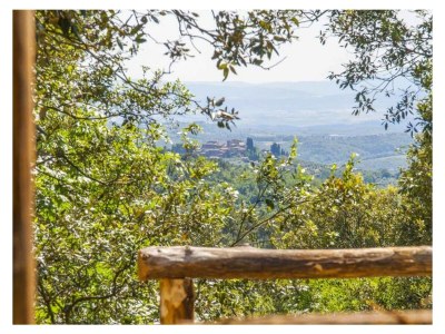 Holiday house Casa Bosco - Outdoor photo 23