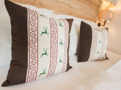 Holiday apartment Wilderer - Villa Salzweg - Features photo 22