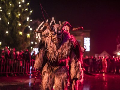 Holiday apartment Wilderer - Villa Salzweg - Environment photo 26