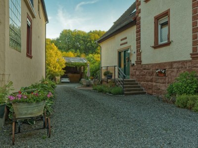 Apartment Wohnung Pfalz, WC/Dusch, 2 Schlafzimmer, Wohnküche - Outdoor photo 12