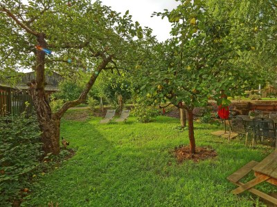 Apartment Wohnung Pfalz, WC/Dusch, 2 Schlafzimmer, Wohnküche - Outdoor photo 20