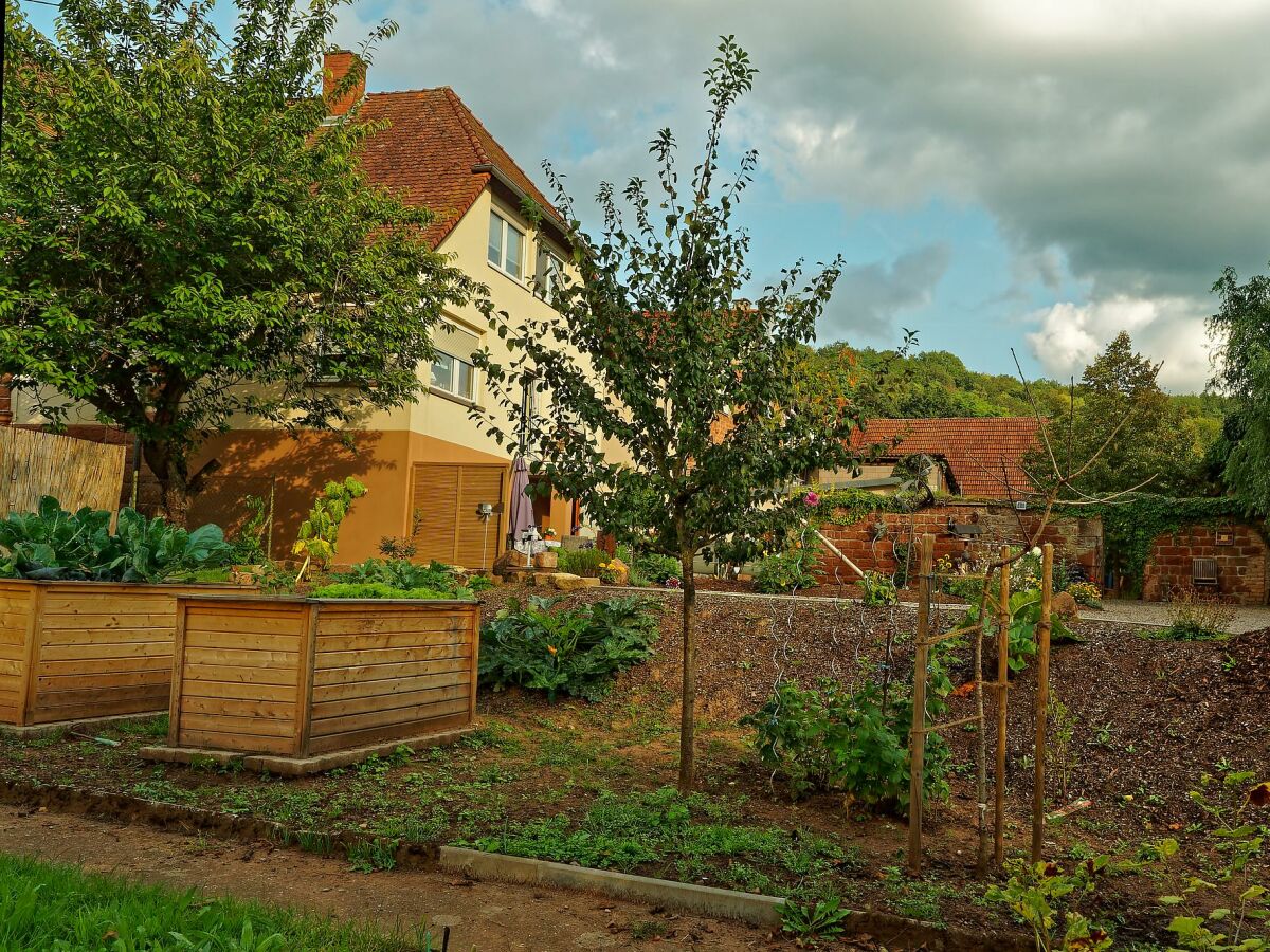 Apartment Wohnung Baden, offen Bauweise, WC/Dusche - Outdoor photo 5