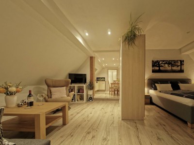 Apartment Wohnung Baden, offen Bauweise, WC/Dusche - Features photo 23