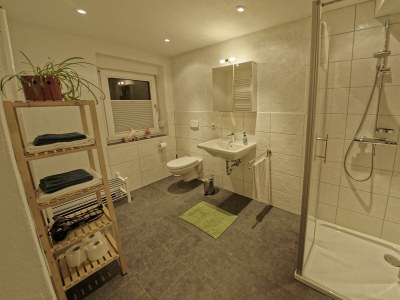 Apartment Wohnung Baden, offen Bauweise, WC/Dusche - Features photo 27