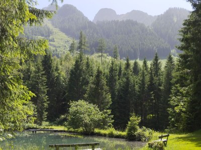 Holiday house Alpenchalet - Environment photo 22