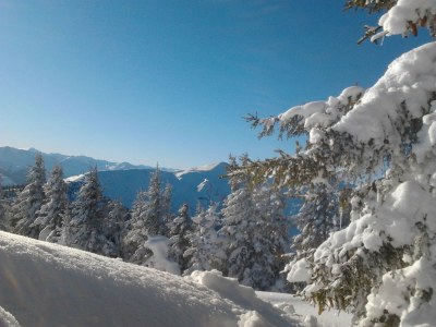 Holiday house Alpenchalet - Document photo 31