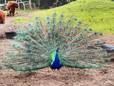 Holiday house 5 star holiday home in Vig-By Traum - Outdoor photo 6