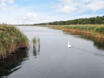 Holiday house 5 star holiday home in Vig-By Traum - Outdoor photo 12