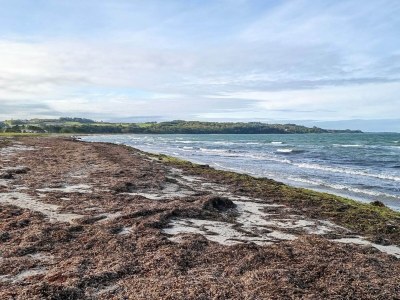 Holiday house 5 star holiday home in Vig-By Traum - Outdoor photo 15